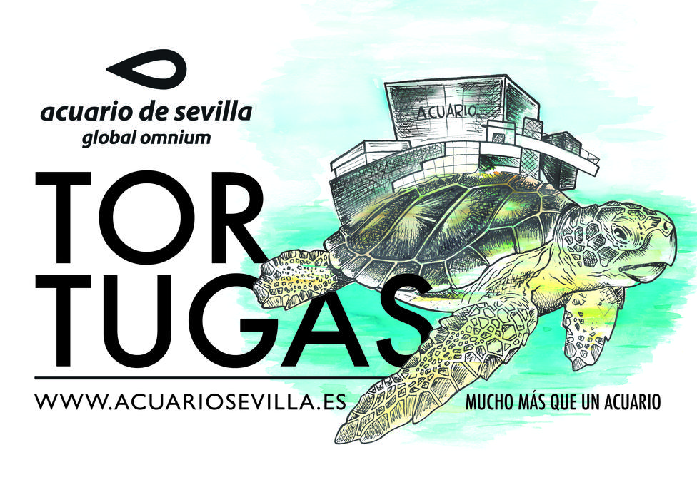 El Acuario de Sevilla, un compromiso con las tortugas marinas