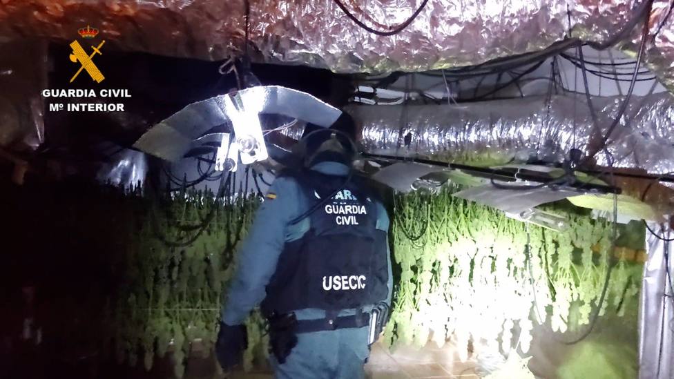 La Guardia Civil ha desarticulado un grupo familiar dedicado al cultivo y producciÃ³n de marihuana en TorrejÃ³n del Rey.