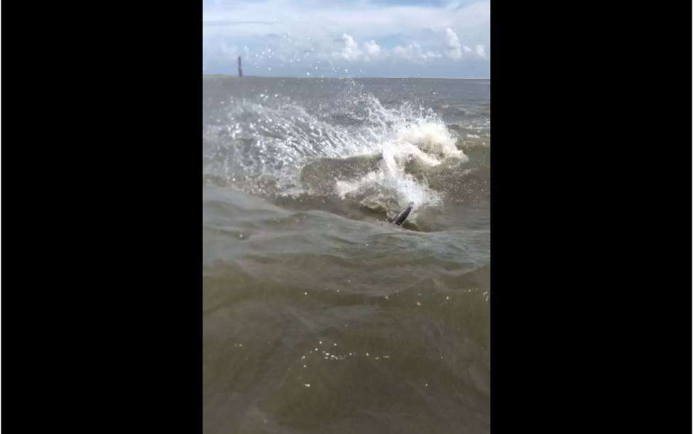 El susto que se llevaron 2 cámaras que filmaban en el mar al ver cómo se acercaban dos aletas de tiburón