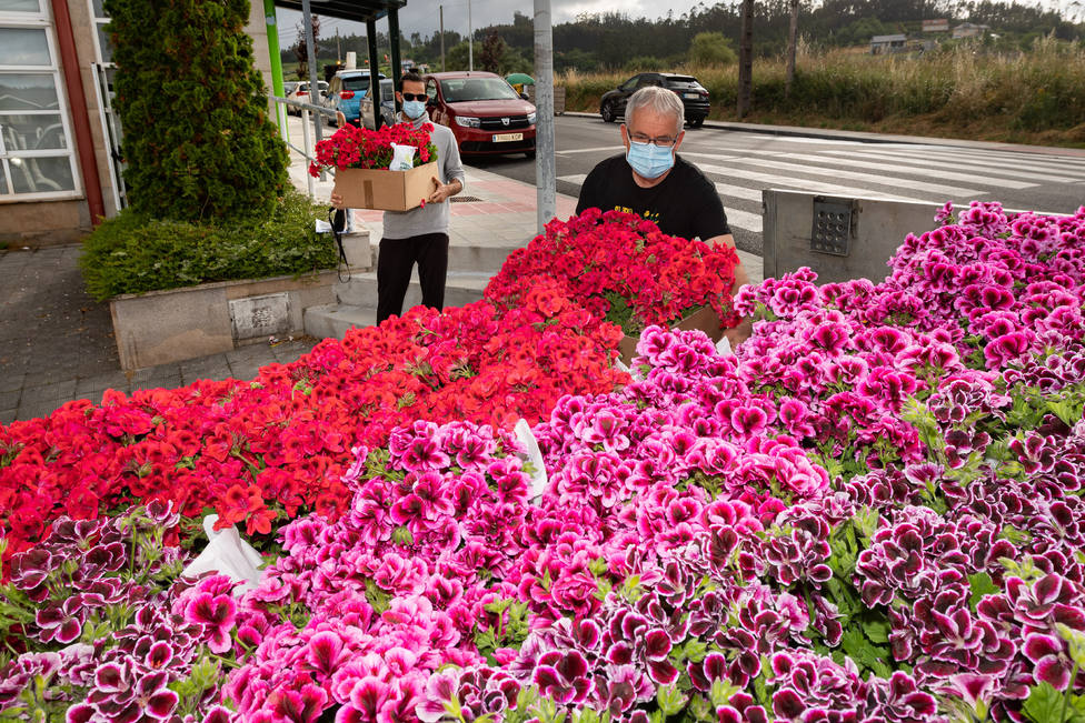 Recepción de flores para la iniciativa que cuenta con más de un centenar de participantes - FOTO: César Galdo