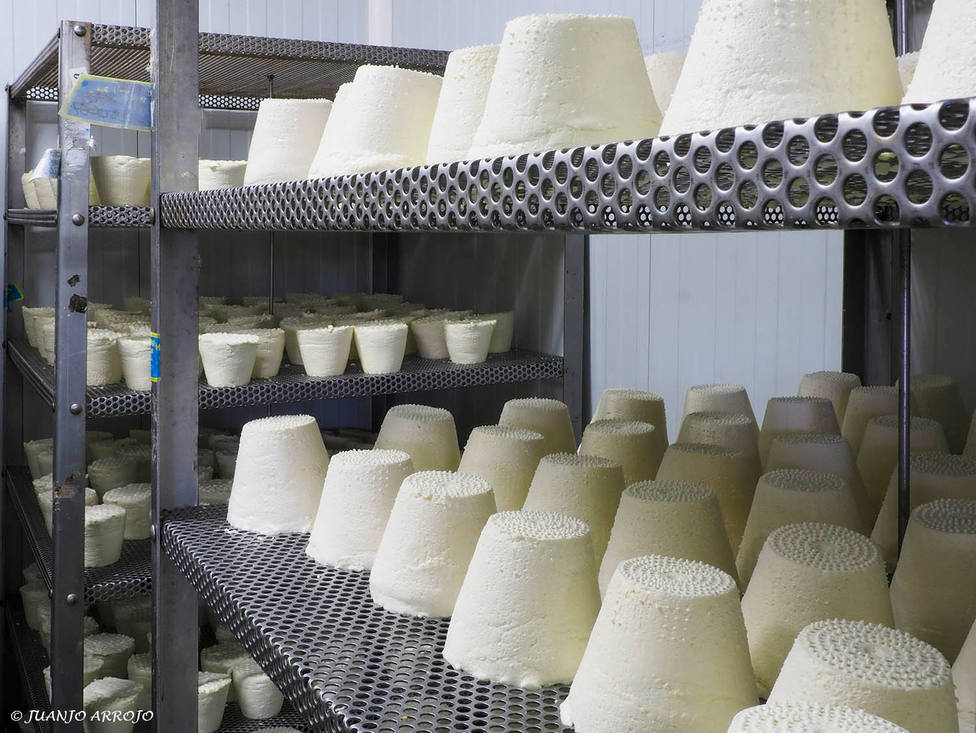 La industria láctea, obligada a parar ante la huelga de transportes: Trabajamos con productos perecederos