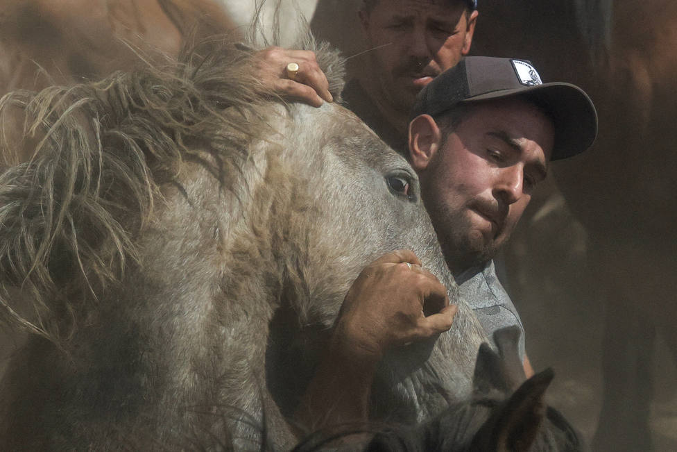 Caballos y hombres tratan de imponer en todo momento sus fuerzas - FOTO: EFE / Kiko Delgado