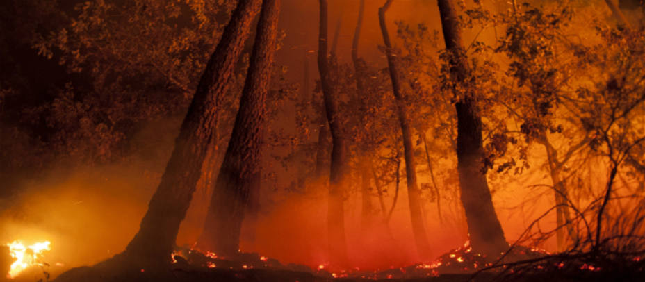 Imagen de las llamas del incendio forestal en la localidad orensana de Entrimo, uno de los incendios que siguen activos en la provincia gallega. EFE