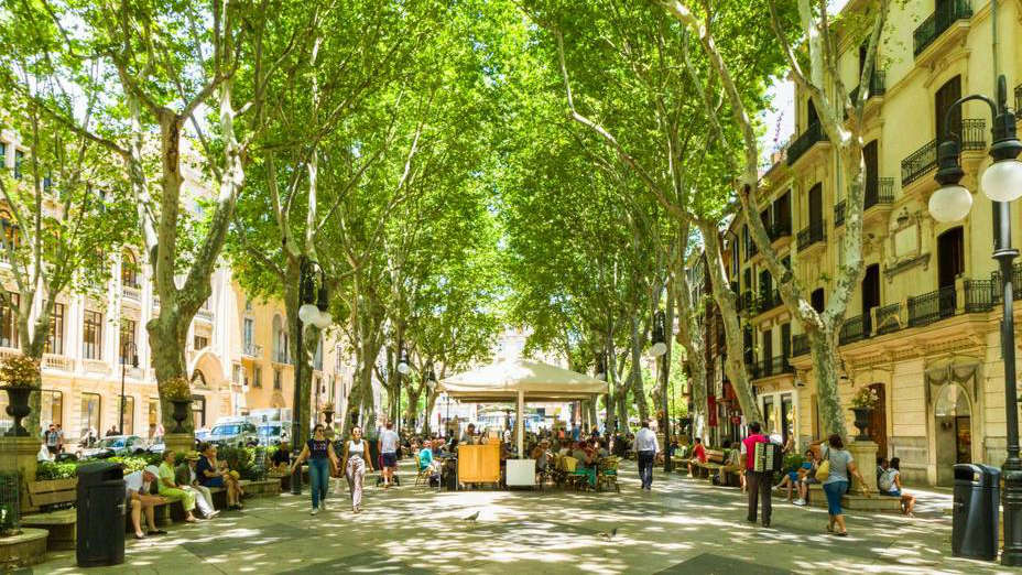 El Ayuntamiento de Palma elimina el 40 por ciento de las terrazas de la ciudad ante al enfado de los restauradores