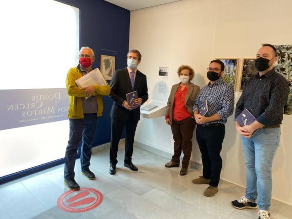 El Reactivo Cultural Donde crecen los Mirtos centra la programación del Museo de la Ciudad en noviembre
