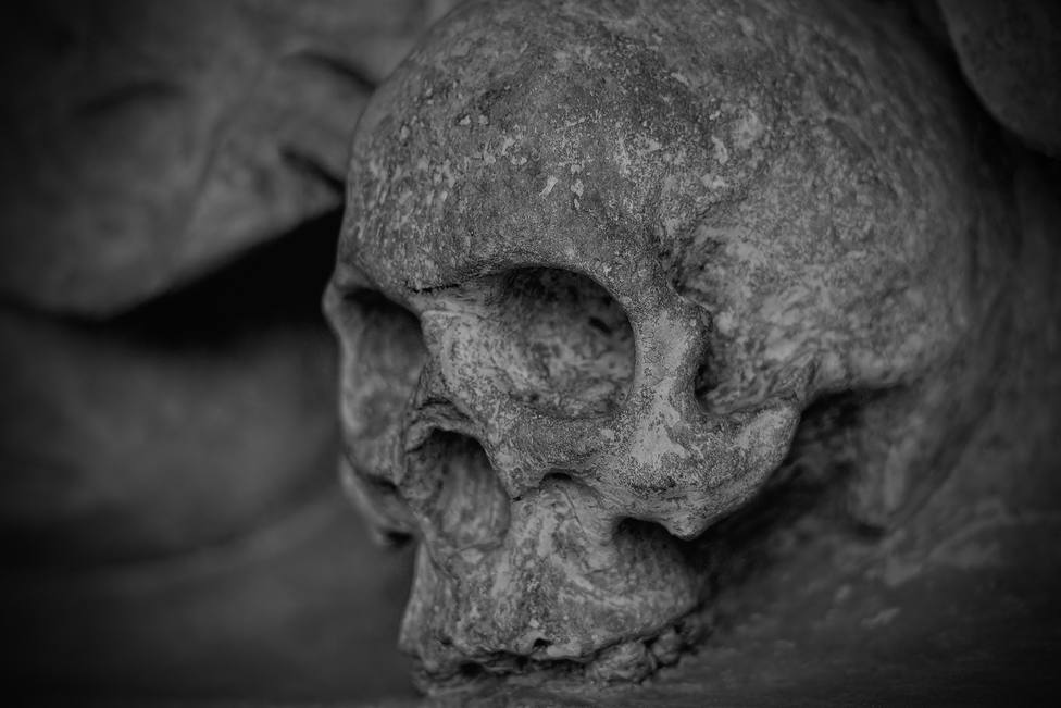 ctv-zoe-skull-77950 1920