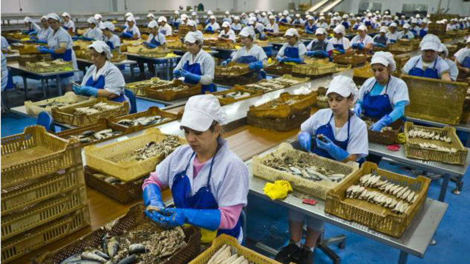 Un grupo de trabajadoras durante su jornada laboral en una fábrica de conservas de pescado