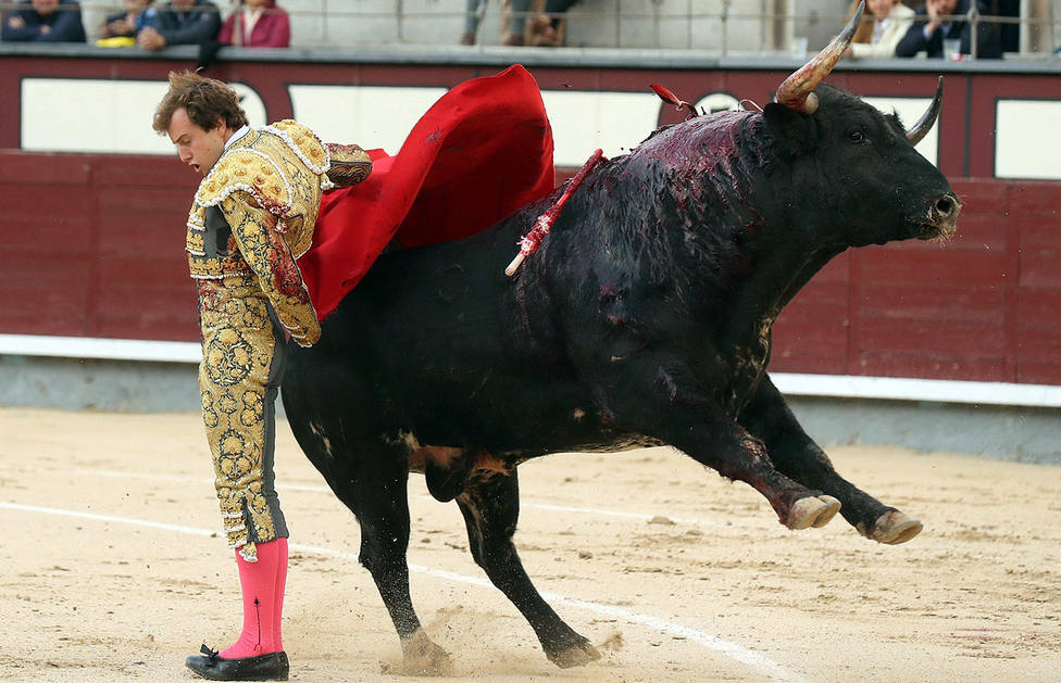 Manoletina de Román a su primer toro, en el que dio la única vuelta al ruedo del festejo en Las Ventas