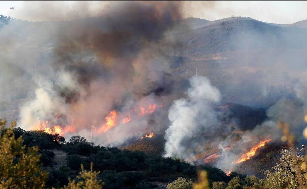 Desalojadas 60 personas por un incendio forestal en Sevilla