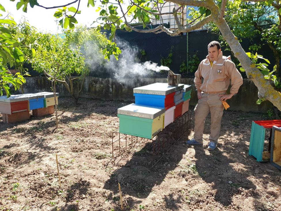 El sector de la apicultura lanza un S.O.S. a la Administración