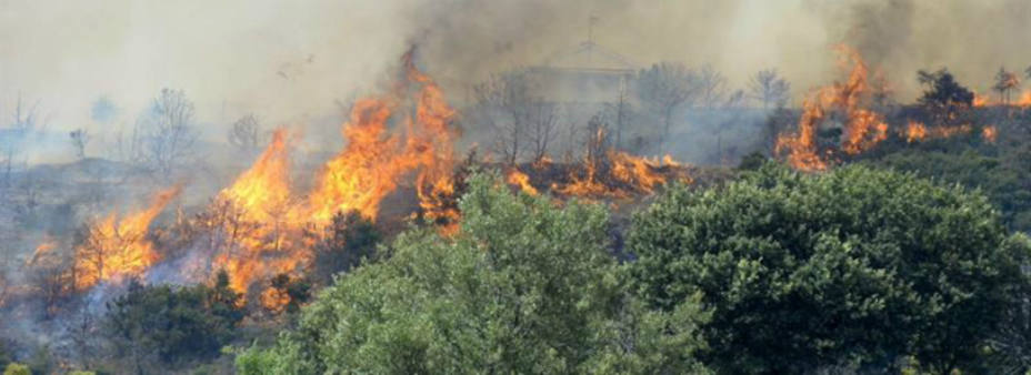Imagen del incendio en Aleas (EFE)