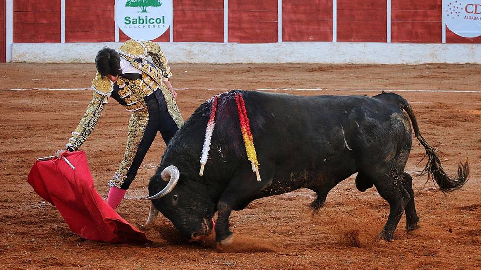 Esaú Fernández toreando a Filigrana, el toro de Buenavista premiado con la vuelta al ruedo