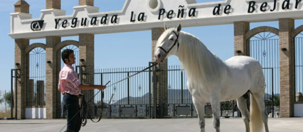 Salón del Caballo de Ifepa se traslada a una yeguada de Puerto Lumbreras