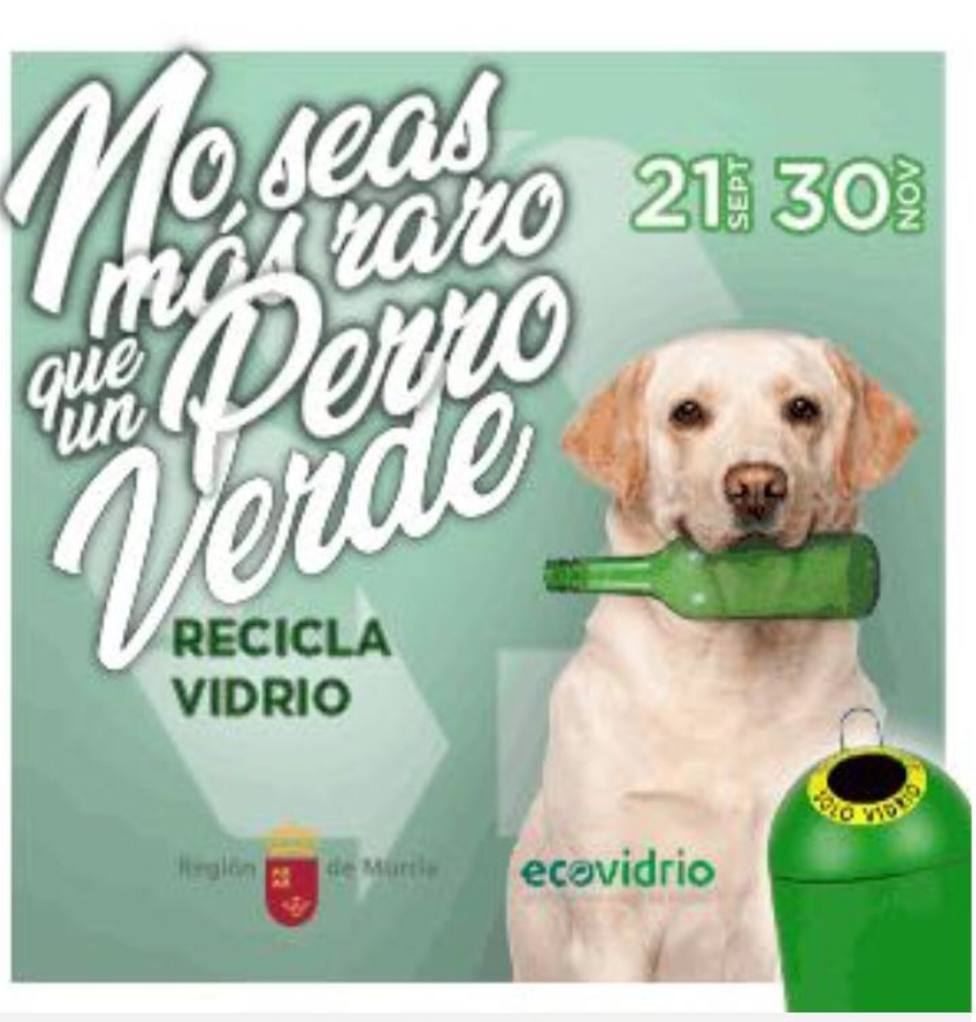 Puerto Lumbreras logra tercer puesto en el reto campaña “No seas más raro que un Perro Verde, Recicla Vidrio