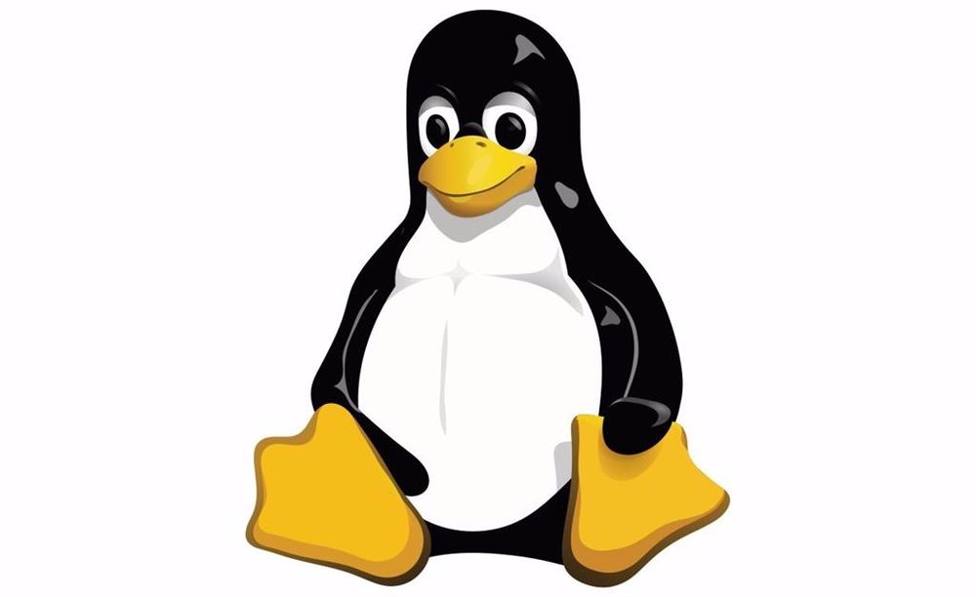 Ciberseguridad: Linux es el sistema operativo que menos tarda en corregir errores de seguridad