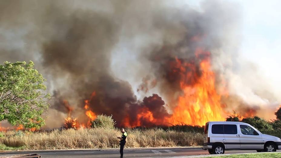 Declarado un incendio en Pinofranqueado, en Cáceres