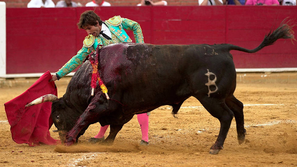 Alberto Lamelas ante un toro de Baltasar Ibán en la pasada Feria del Ángel de Teruel