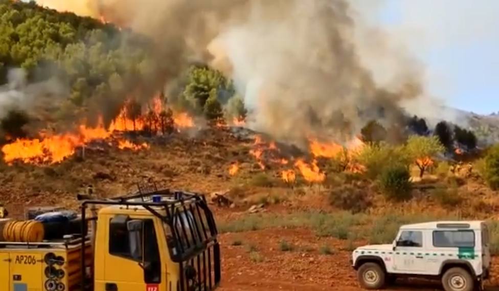 Dan por extinguido el incendio de Terque (Almería) tras cinco días de labores y 1.191 hectáreas afectadas