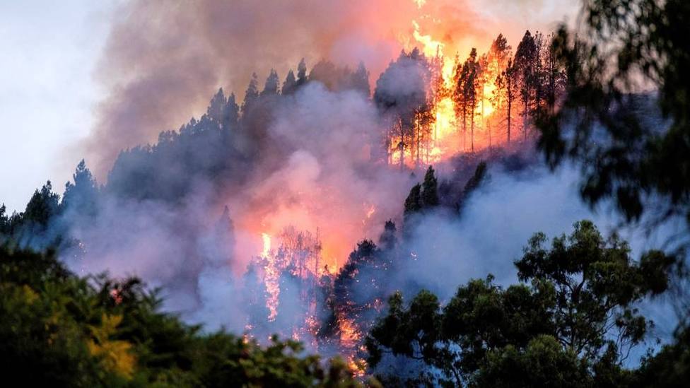 El incendio de Gran Canaria sigue arrasando hectáreas, mientras siguen activos los de Guadalajara y Ávila