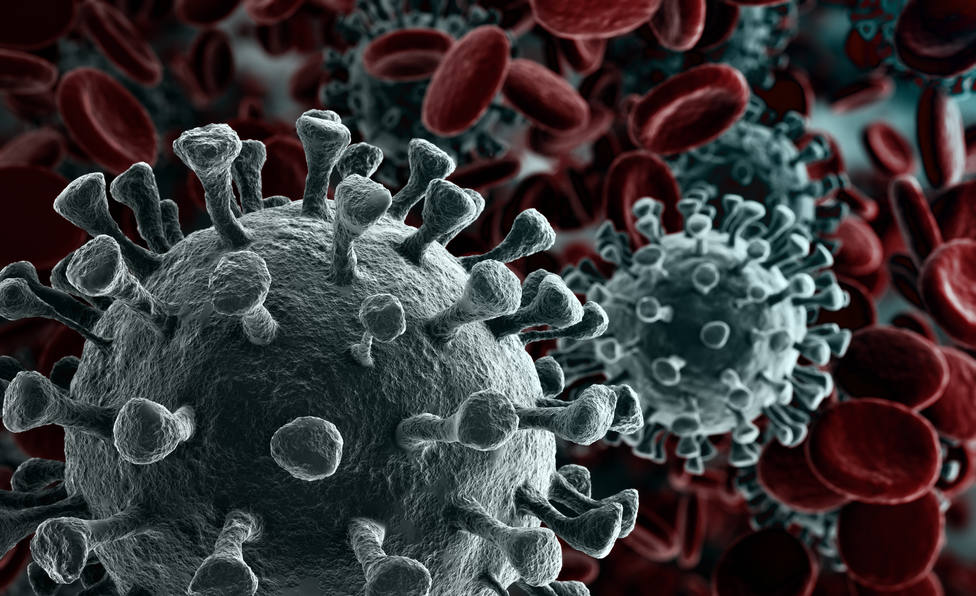 El descubrimiento del CSIC va a permitir diseñar nuevas terapias contra el coronavirus