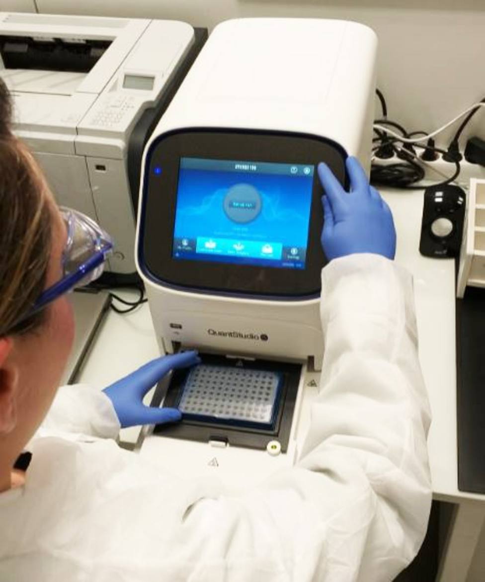 El laboratorio del HULA realiza unas 1.500 pruebas de Covid-19 al día