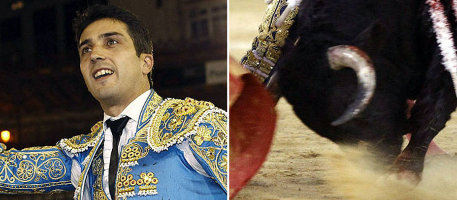 Javier Castaño y Comino, toro de Cuadri, premiados en Castellón. EFE
