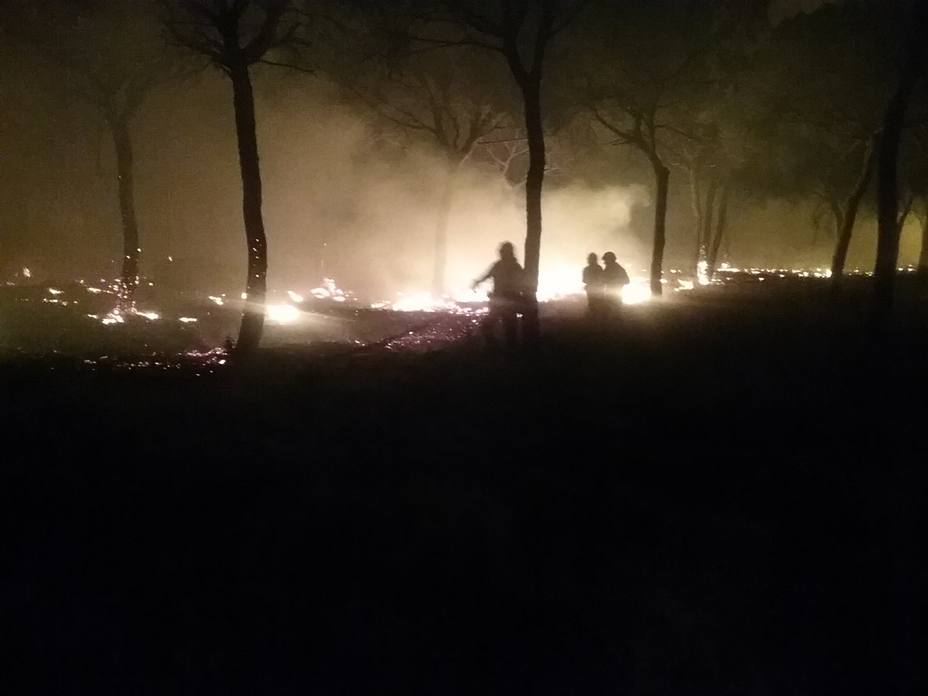 Imágenes del fuego en Moguer