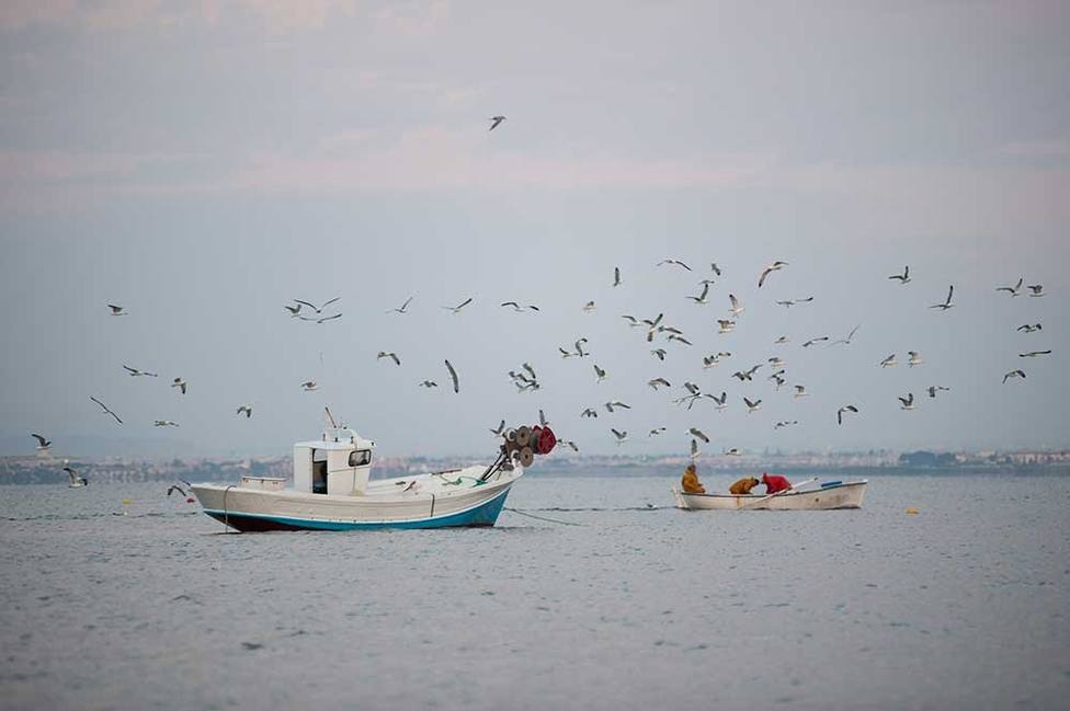 WWF pide a la UE que no renueve los subsidios a la pesca industrial y favorezca a la pesca sostenible