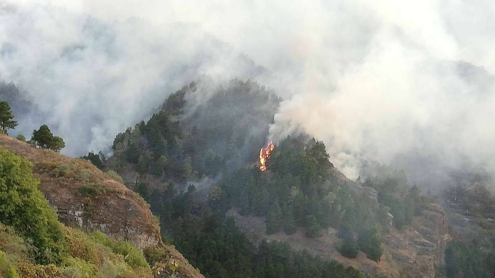 Gran Canaria: uno de los peores incendios de la última década