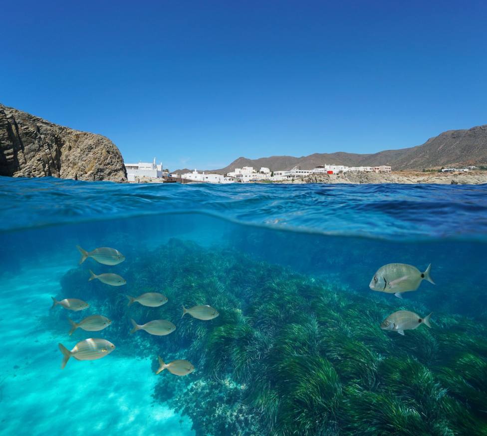 Isabel Jiménez, entre los almerienses que mostrarán a ‘Viajeros Cuatro’ la belleza de ‘Costa de Almería’