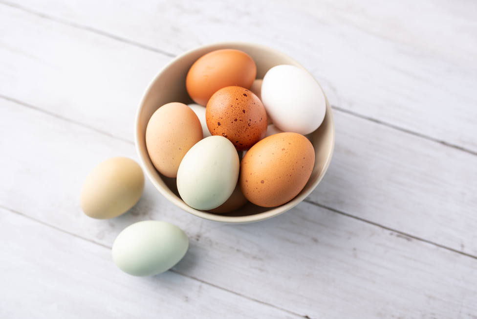 ¿Por qué las gallinas ponen huevos de color azul o verde?