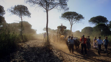 Pilgrims near Cerro del Trigo,Romeria del Rocio, pilgrims on their way through the Donana