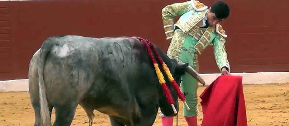 Paco Ureña y Estudioso, el toro de Victorino Martín indultado en Cieza el Sábado de Gloria de 2014. ARCHIVO