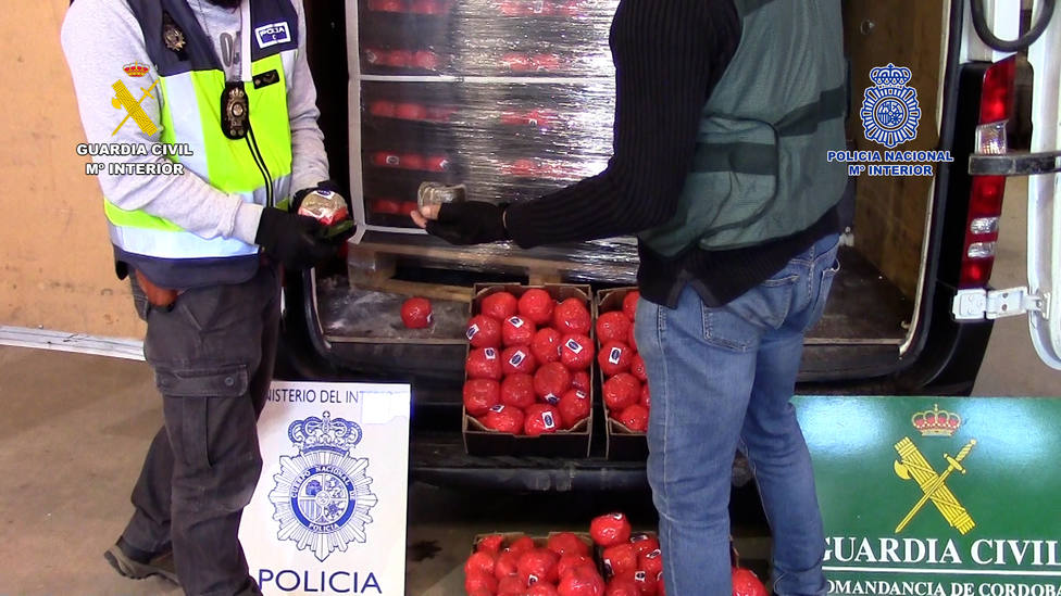 Intervienen en Málaga 22 toneladas de hachís ocultas en un cargamento de falsos tomates