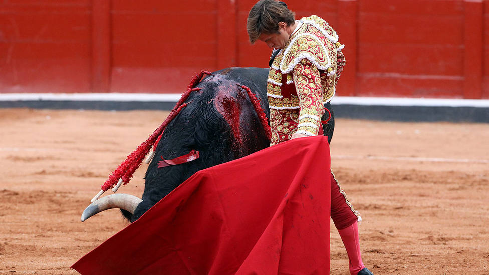 Natural de El Juli durante la faena de muleta al segundo toro del festejo de este sábado en Salamanca