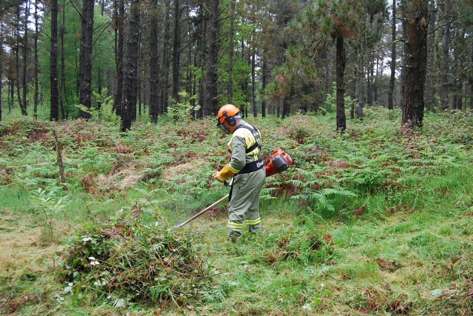Foto de archivo de un operario desbrozando una finca forestal - FOTO: Xunta