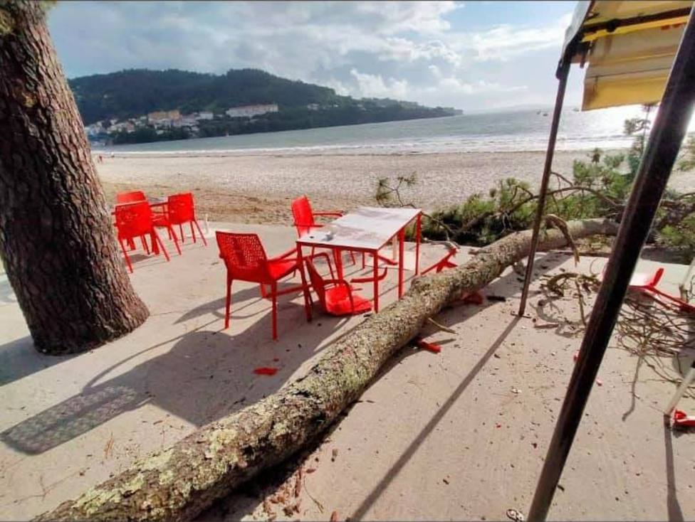 La caída del árbol afectó a la terraza del chiringuito Koa ubicado a pie de playa. FOTO: PP Cabanas