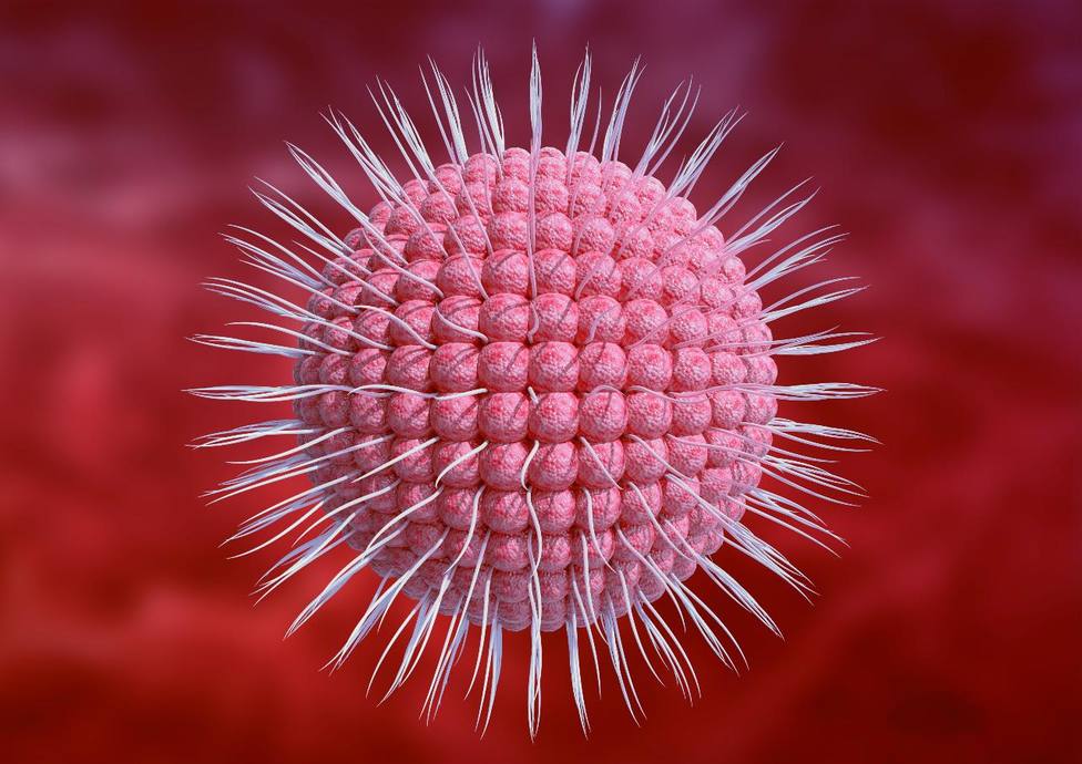 Más del 90% de los adultos se han infectado con el virus varicela Zóster
