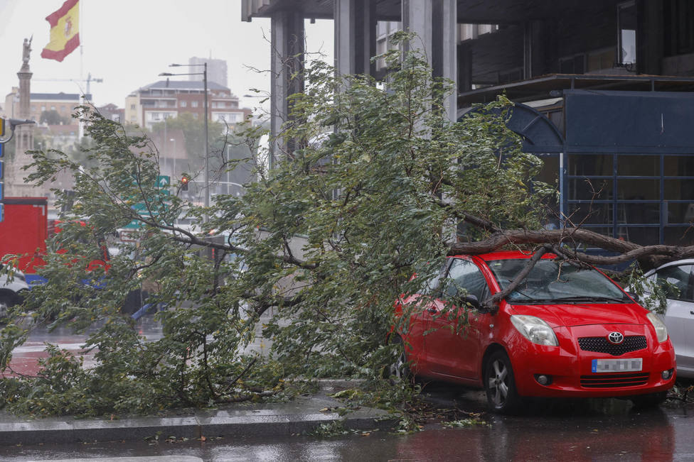 Un árbol caído sobre varios coches cerca de la Plaza de Colón de Madrid este jueves por el paso de C