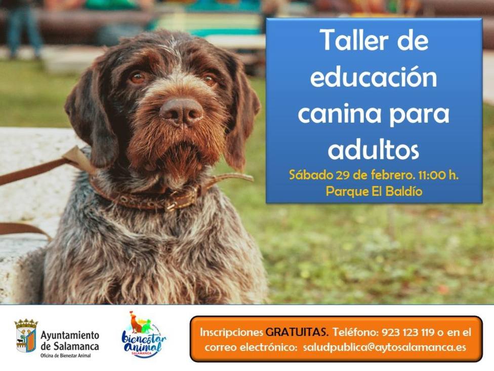 Foto anunciador de los talleres de adiestramiento canino