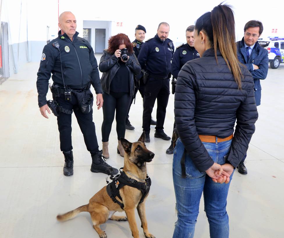 Mía y Truco, miembros de la nueva Unidad Canina de la Policía Local de El Ejido