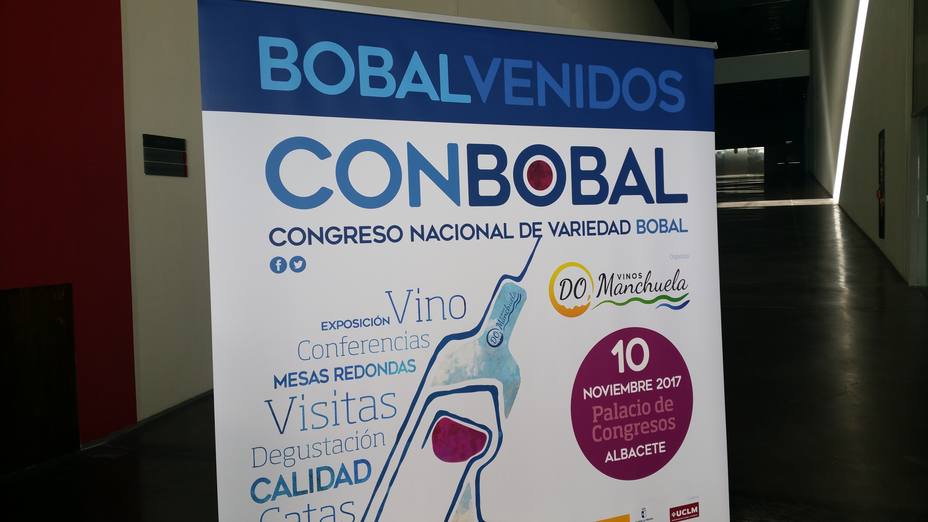 Albacete acoge hoy el I Congreso Nacional de Variedad Bobal, ConBobal