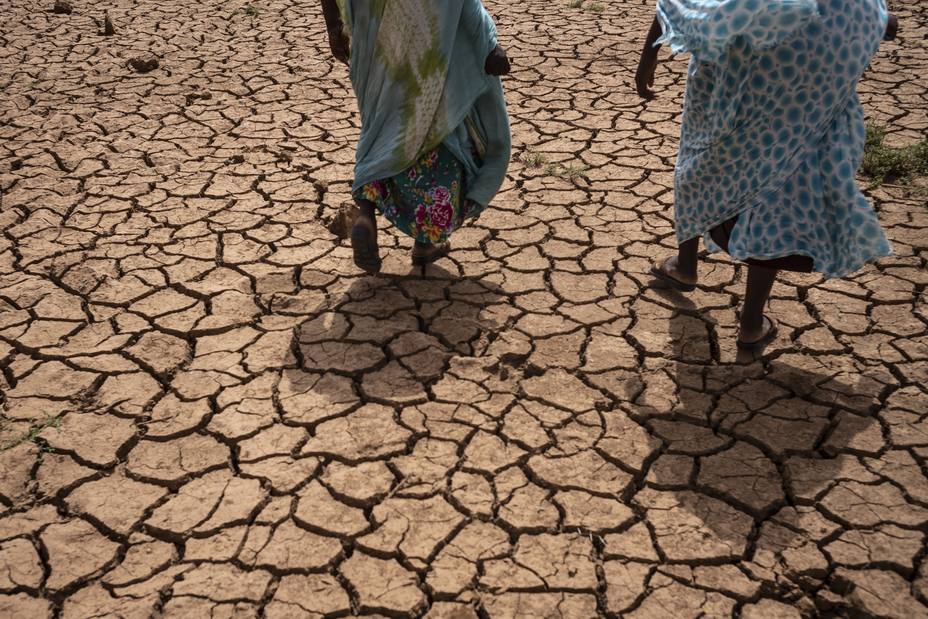 Las ONG llaman a invertir más en resiliencia y desarrollo para que el hambre no sea inevitable en el Sahel