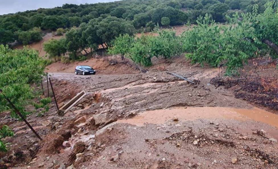 El Ayuntamiento de Torres pide precaución a los conductores en la carretera a Mancha Real