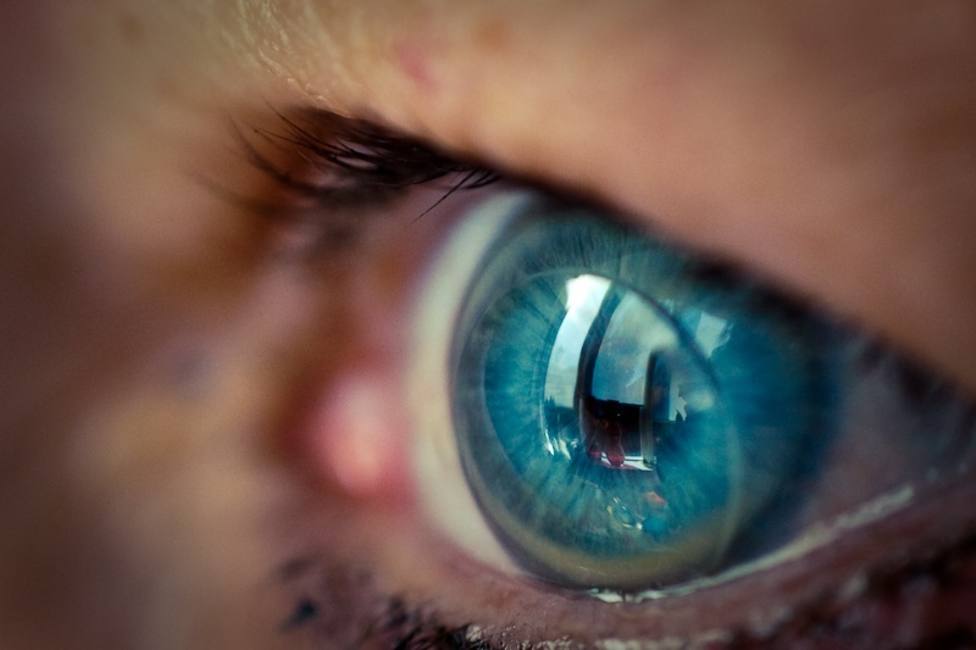 El 70% de las pérdidas de visión grave está producida por problemas en la retina, según experto