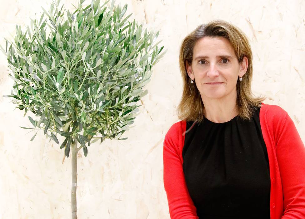 Teresa Ribera avanza que España manifestará su voluntad de aumentar la ambición en la lucha climática