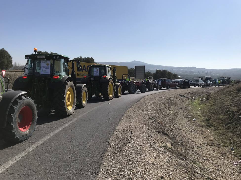 Más de 5.000 tractores recorren la A-45 en Lucena (Córdoba) ante la situación agónica del sector agrario