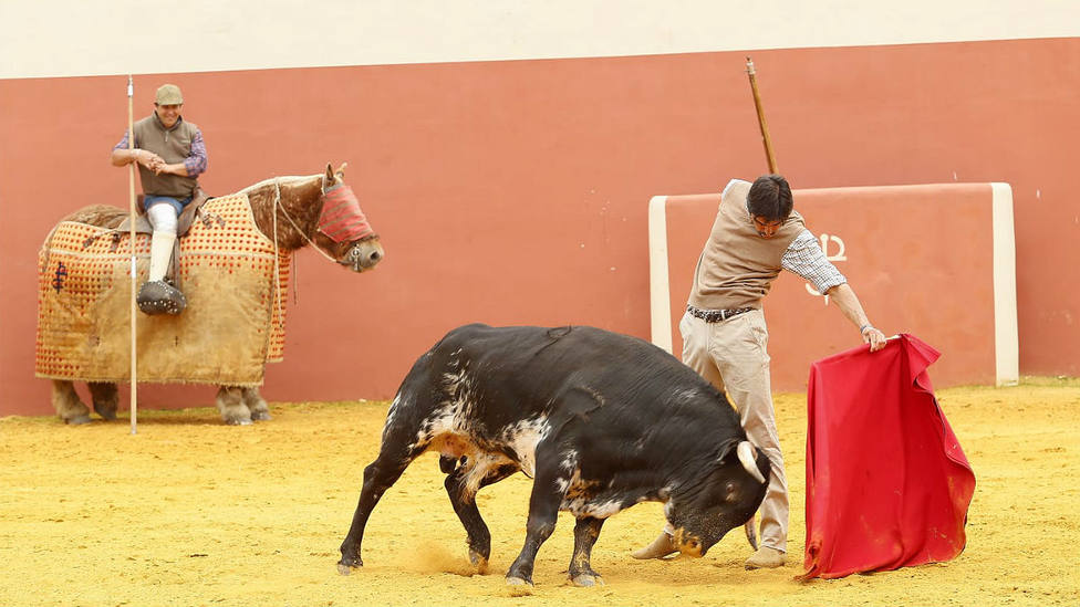 Miguel Ángel Perera, en una imagen de archivo, tentando en la ganadería sevillana de Espartaco