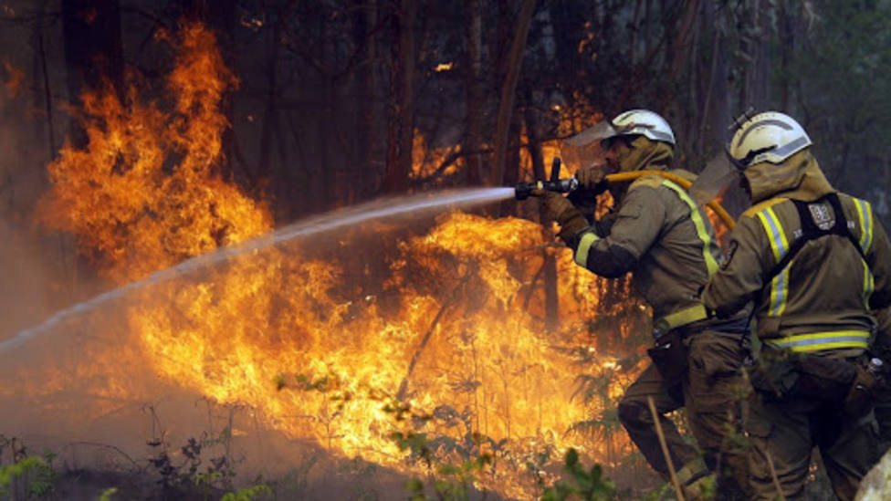 Efectivos trabajan para sofocar un incendio forestal. Foto: EFE
