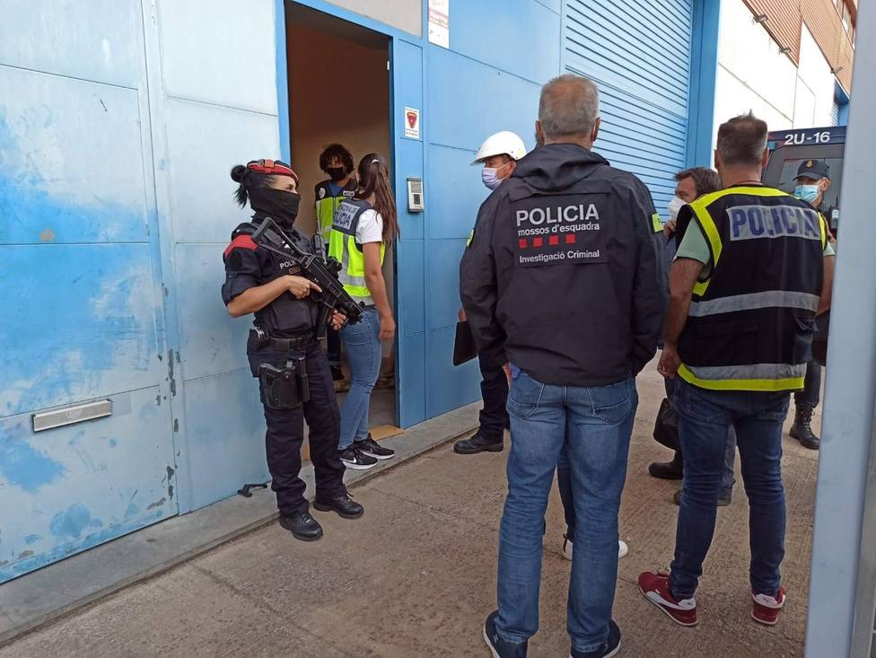 Detenidas 71 personas en un operativo contra el tráfico de marihuana en Catalunya